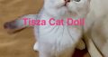 Tisza Cat Doll Ginny Weasley