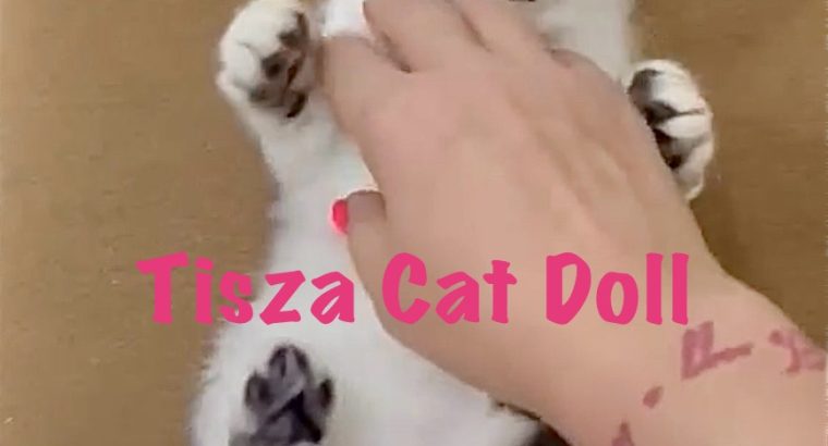 Tisza Cat Doll Ginny Weasley