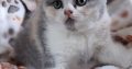 Angel 🥰, május végén