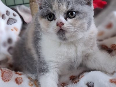 Angel 🥰, május végén