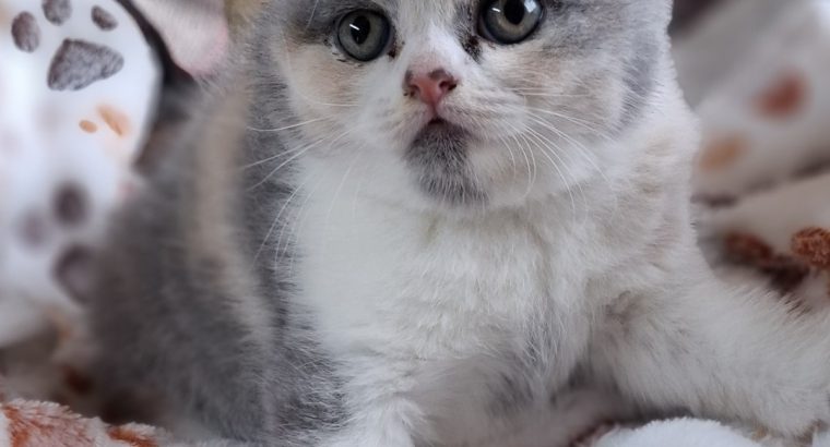Angel 🥰, május végén