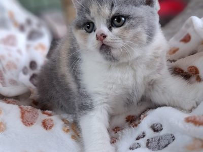 Angel 🥰, május végén