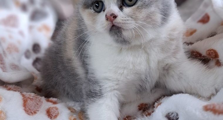 Angel 🥰, május végén