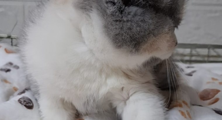 Angel 🥰, május végén