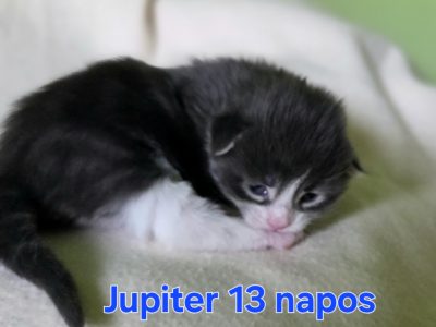 Jupiter