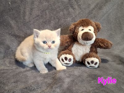 Kylie krém kislány