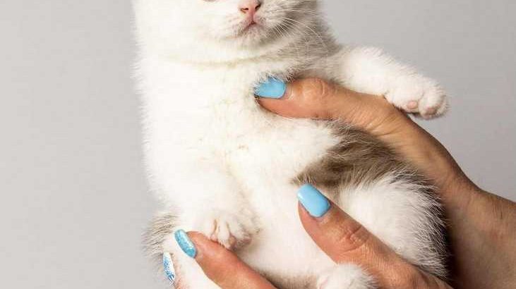 Alina of Merry&Bright csoki bicolor