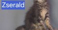 Zserald