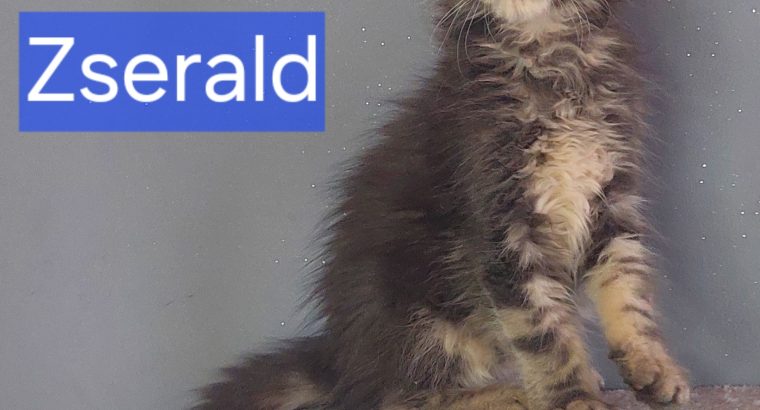 Zserald