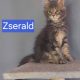 Zserald