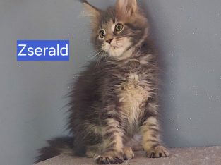 Zserald