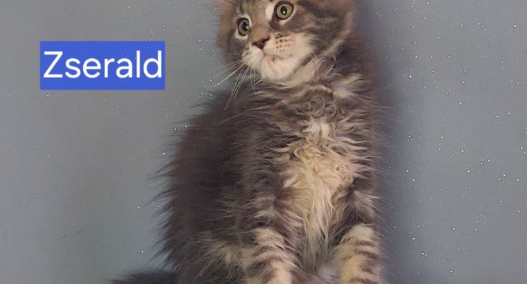 Zserald