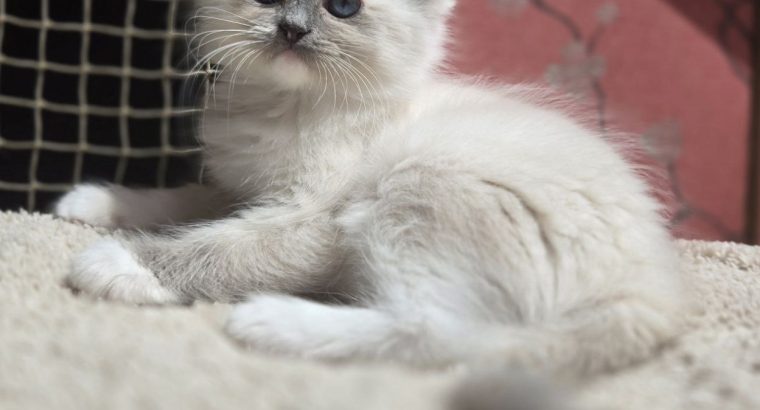 Lili