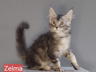 Zelma