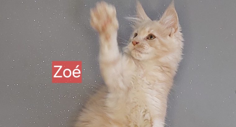 Zoé