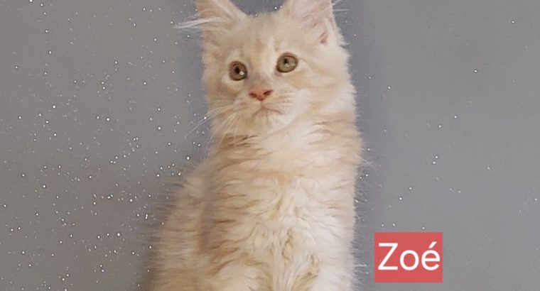Zoé