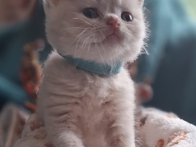 December elején nálad 😊