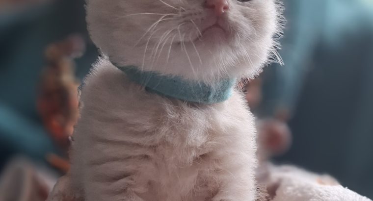December elején nálad 😊