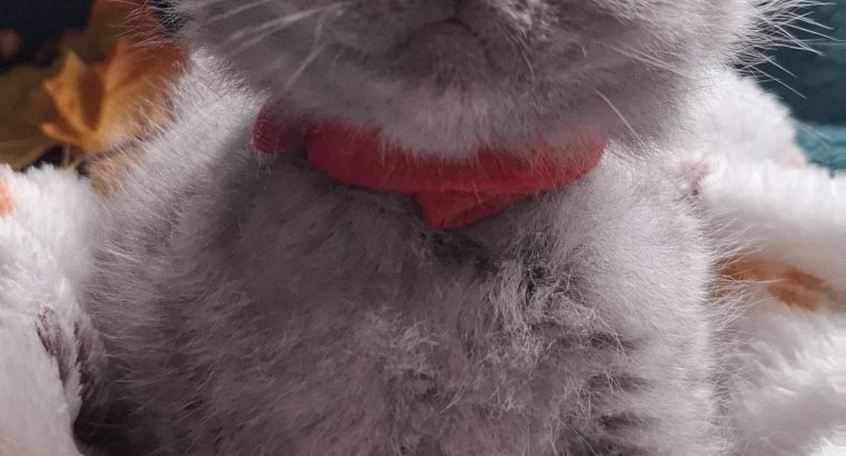 December elején nálad 😊