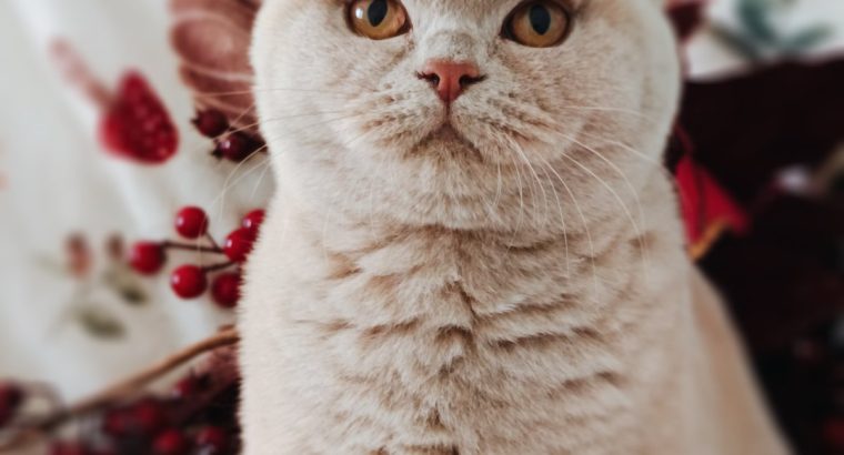 Szívtipró a láthatáron