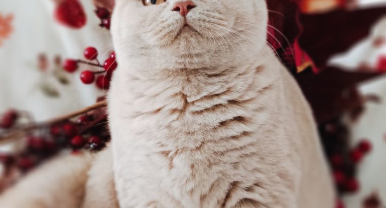 Szívtipró a láthatáron