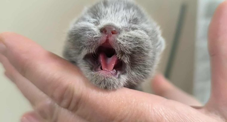 December végén nálad?