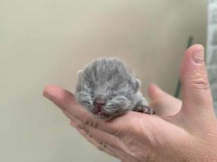 December végén nálad?