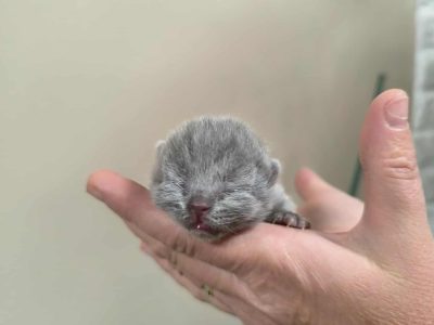 December végén nálad?