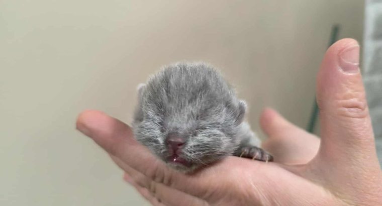 December végén nálad?