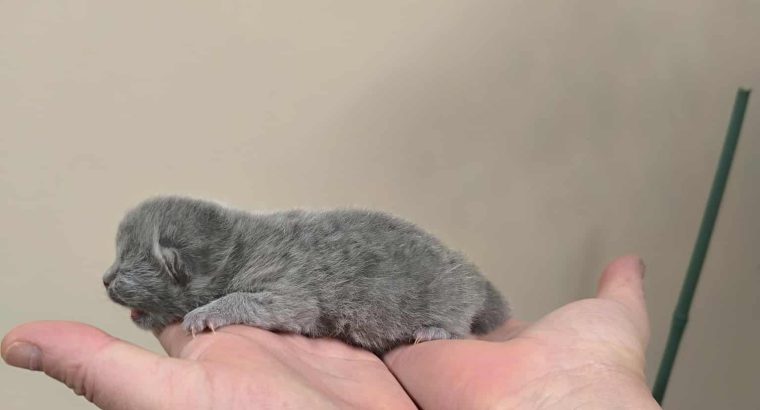 December végén nálad?