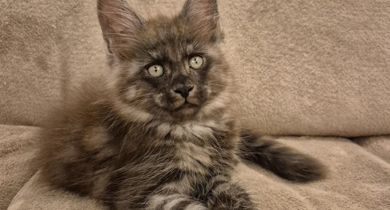 Zaka’s Pearl Floyd