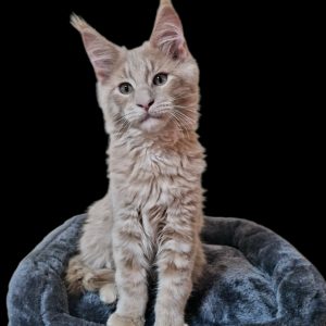 Profilkép kiválasztása