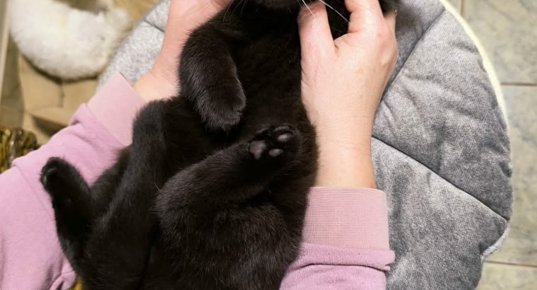 Ünnepek után nálad cukiskodhatom