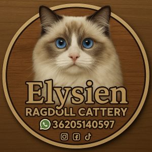 Profilkép kiválasztása