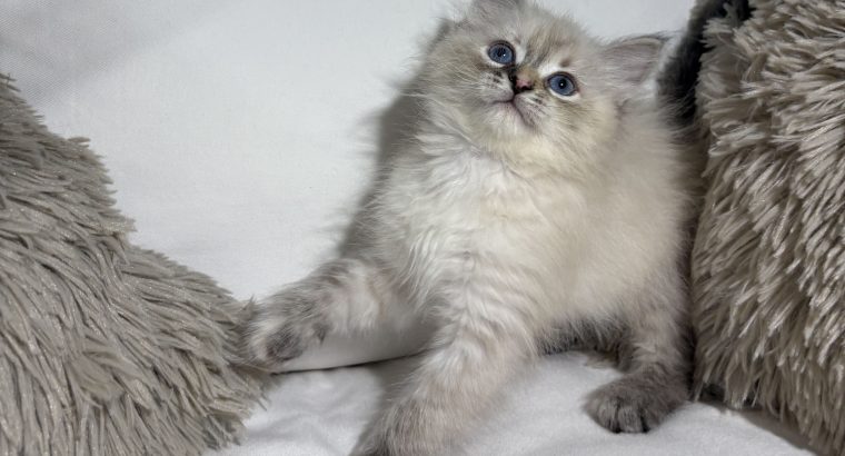 Grace, a neva kislány