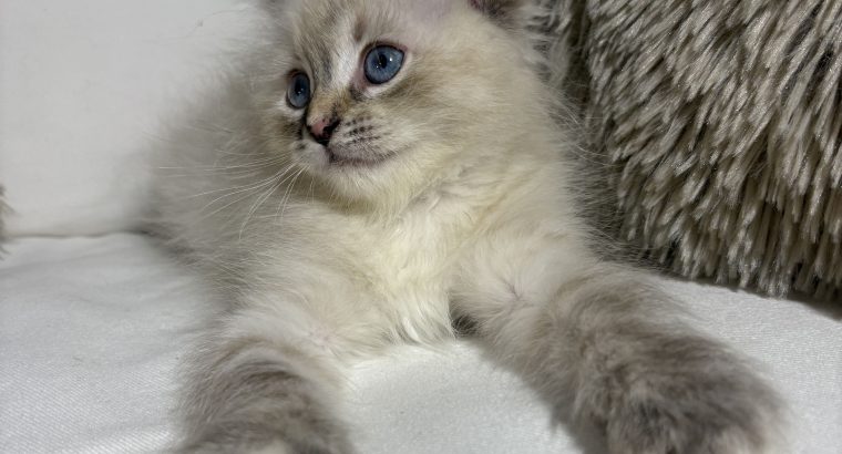 Grace, a neva kislány