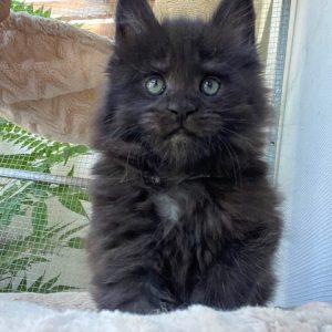 Profilkép kiválasztása