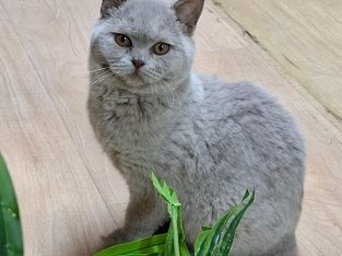 Endi, bármikor költözhet