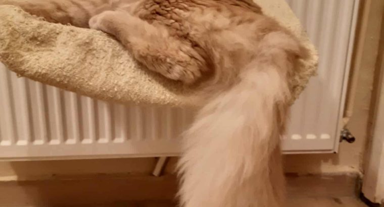 Unikum,mert ő unikális