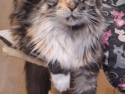 Eloise a masszőr lány