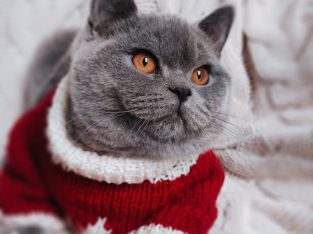 Szívtipró a láthatáron