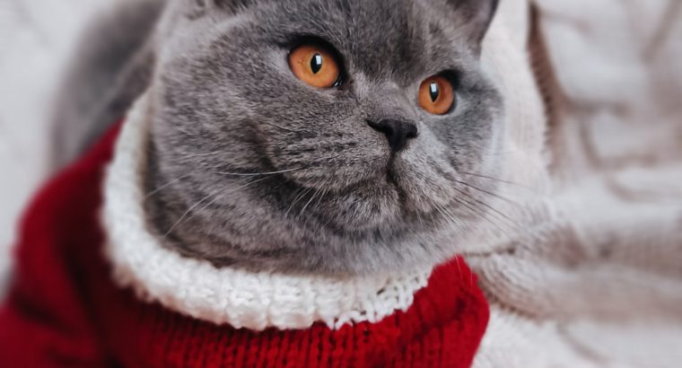 Szívtipró a láthatáron