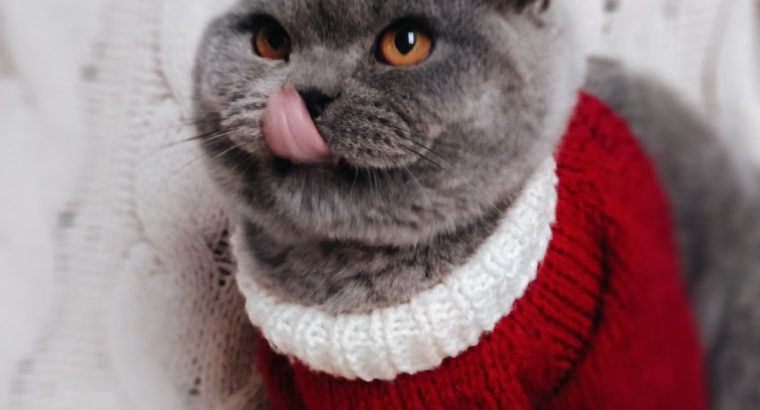 Szívtipró a láthatáron