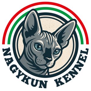 Profilkép kiválasztása