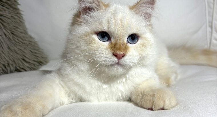 Gary, a bújós szépfiú