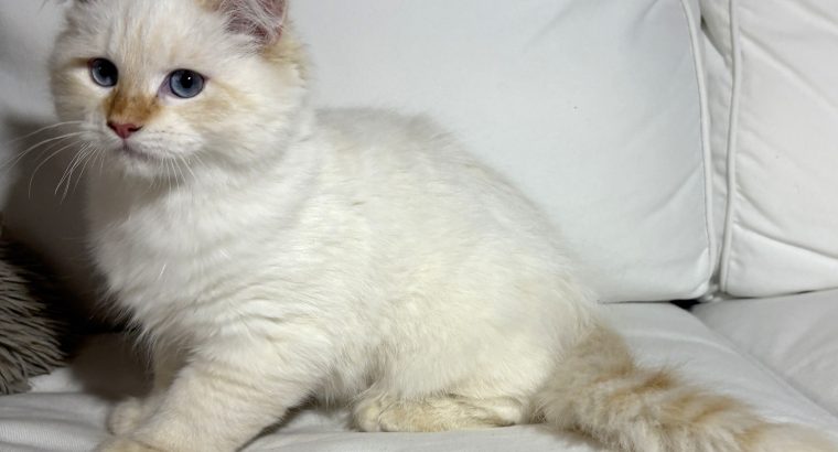 Gary, a bújós szépfiú