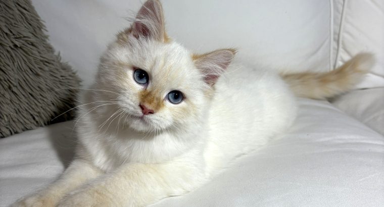 Gary, a bújós szépfiú