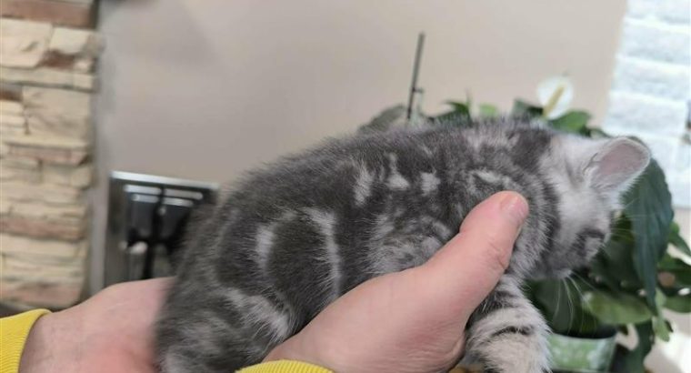 Márciustól nálad?