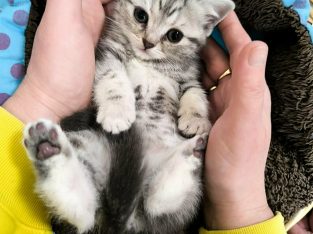 Márciustól nálad?