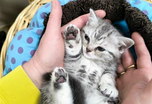 Márciustól nálad?